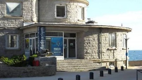 First Day at the International Workshop on Ciliates in Concarneau (France) 19-21 May 2025